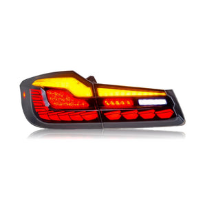 Suitable for BMW 5 Series G30 17-24 Dragon Scale Tail Lights