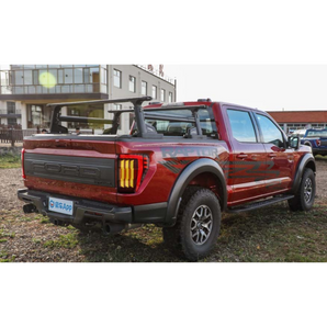 Ford F150 21-23 tail lights (fit low trim car)