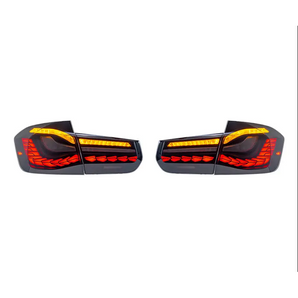 Suitable for BMW F30 13-18 tail lights single dragon scale