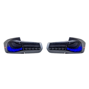 Suitable for BMW F30 13-18 tail lights double dragon scales