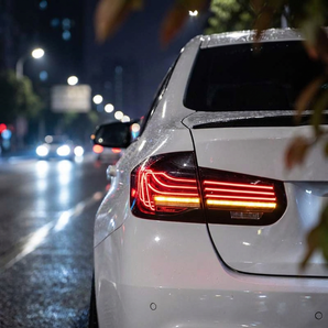 PrismBeam 2013-2019 BMW 5th 3 Series F30/F31/F35 LED Tail Lights Double Dragon Scales Set