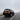 Black Toyota Land Cruiser with illuminated LED tail lights driving along a foggy winter road.